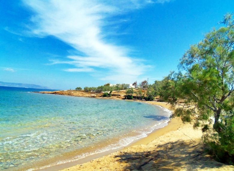 5/ήμερη Διαμονή στο Cactus - Escape Dream Travel